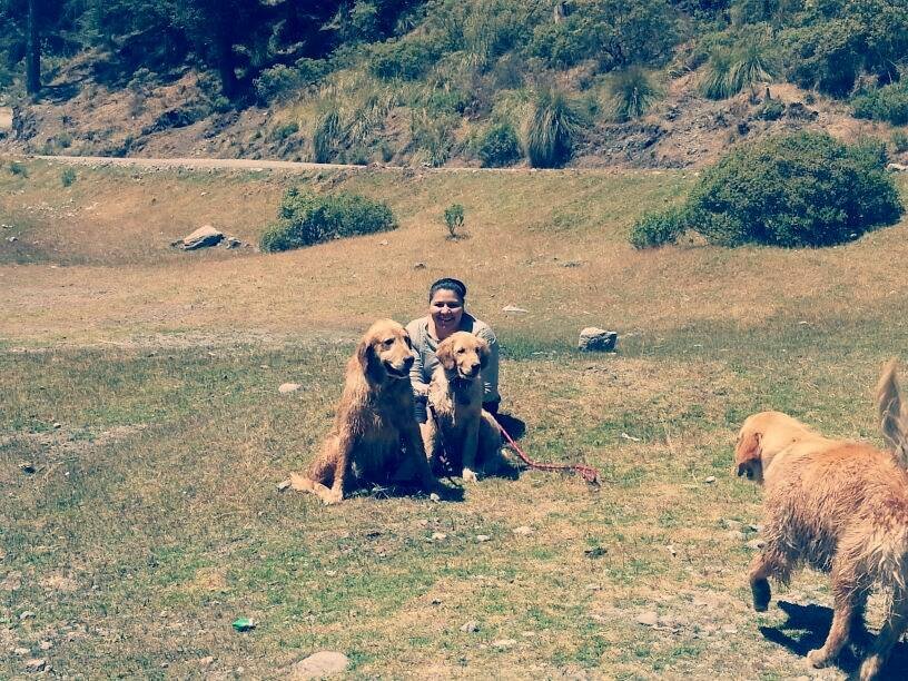 cynthiolu's profile picture. lo mío lo mio son las ventas #hedicho