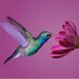 ExtraHerbos (@extraherbos) Twitter profile photo ExtraHerbos (@extraherbos) Twitter profile photo