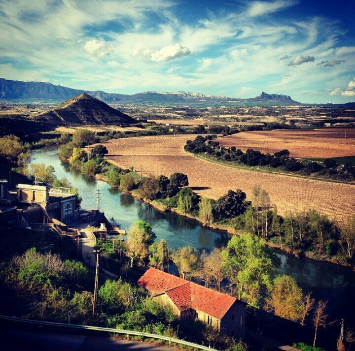 Cortijanos's profile picture. Pequeños pero muy Grandes