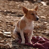 Mr D (@therealjeduncan) 's Twitter Profile