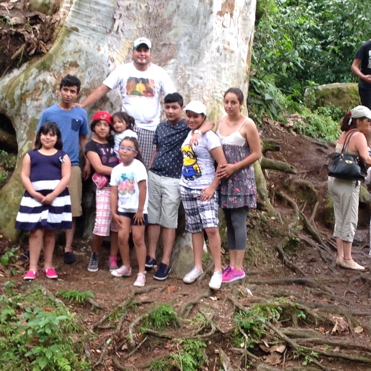 Estudio en 292 Heriberto Jara Corona