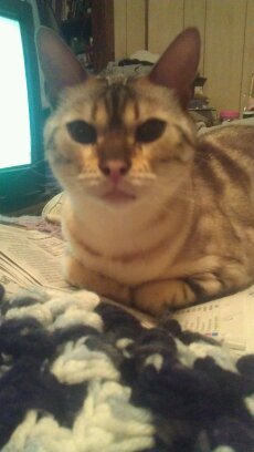 scoobydoobagley's profile picture. 