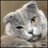 tmasoderadlseek's profile image