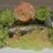 coastfarmers's profile image