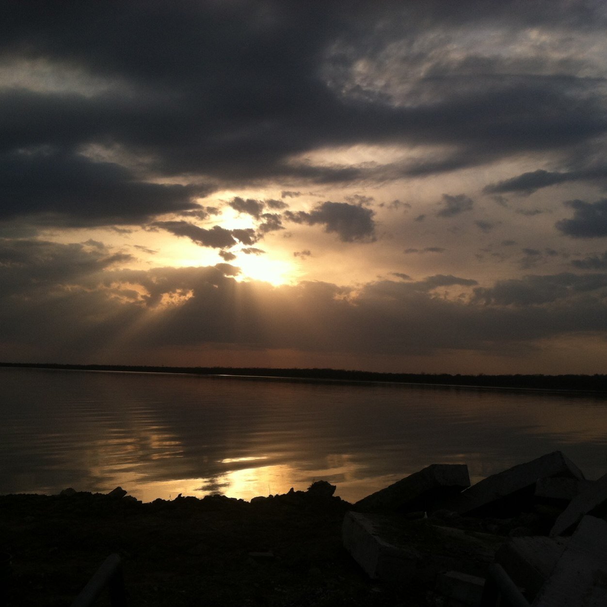 gogoharvey's profile picture. All about change and acceptance of change.