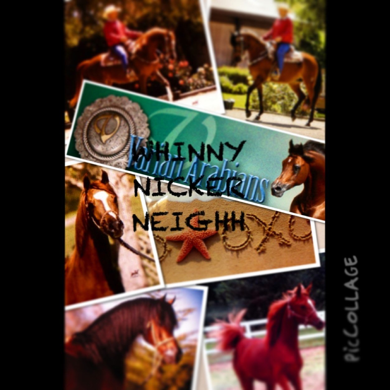 Life's a journey, Giddy Up