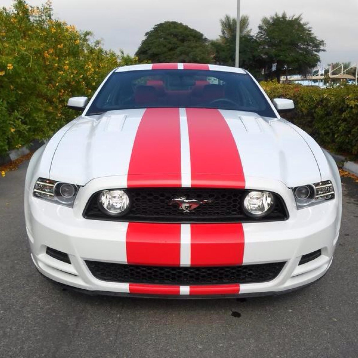 AnteeSoso's profile picture. 