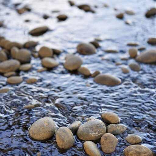 WAE2GoPartners's profile picture. 