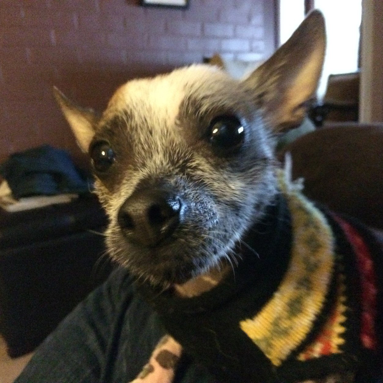 PianinMark's profile picture. 