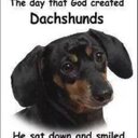 Dylan David Rooks - @dylandavidrooks - Twitter