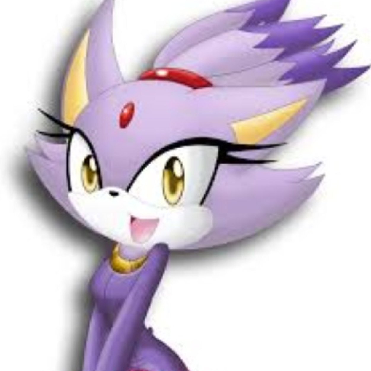 Blaze da cat