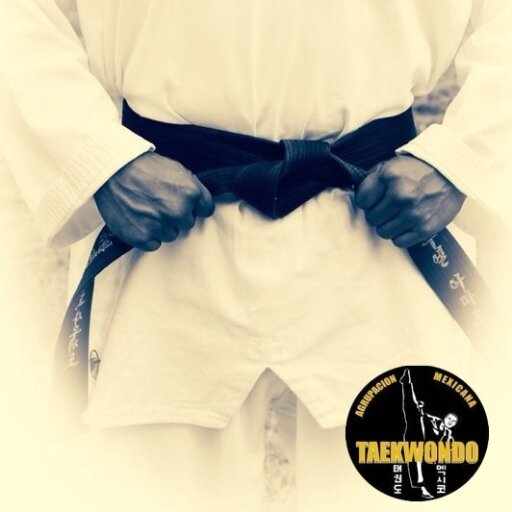 Academia de Tae Kwon Do: Buscando y Formando Talentos para competir en la Vida - Disciplina - Salud Física - Ejercicio - Competencia.