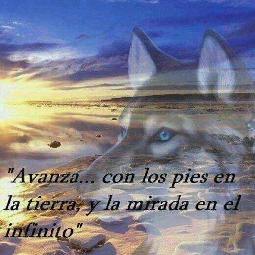 MarukitoVilla's profile picture. Animadora infantil