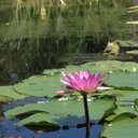 june chandler - @junciebug - Twitter