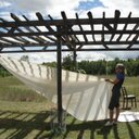 Heather Semple - @HMSottawa - Twitter