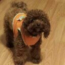 Thomas Haygood - @vistajrotc - Twitter