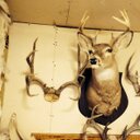 Richard Dean Wall - @rmwall1023 - Twitter