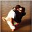 JNicNew's profile image