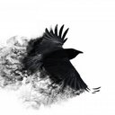 Giuseppe Cavallo - @gscavallo007 - Twitter