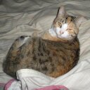 Sherry Warren - @zoielanewarren - Twitter