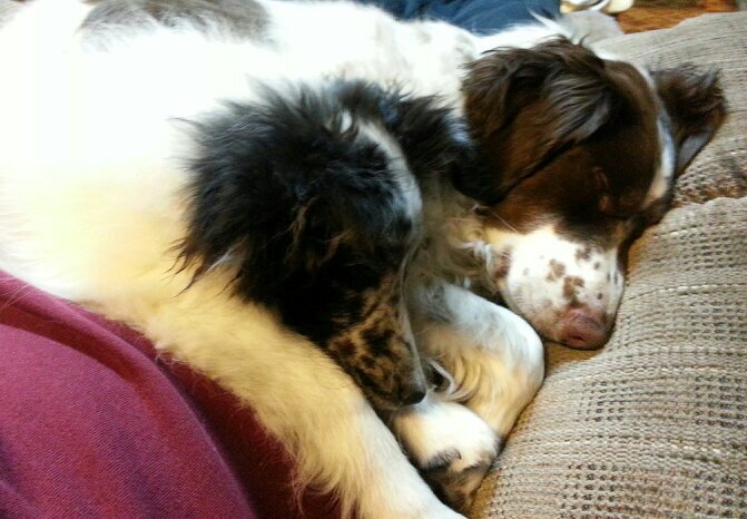 lcam41's profile picture. I'm the most modest person I know.