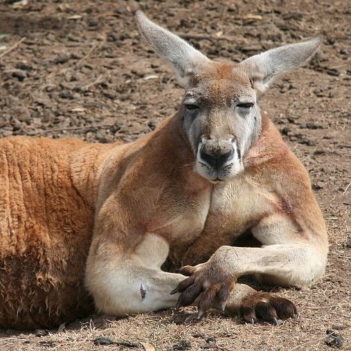 Position trader with special interests in #IndustrialMetals #Gold #Silver #Antimony #Lithium #BATTERYMETALS +Real Estate 🏴󠁧󠁢󠁳󠁣󠁴󠁿 🇦🇺