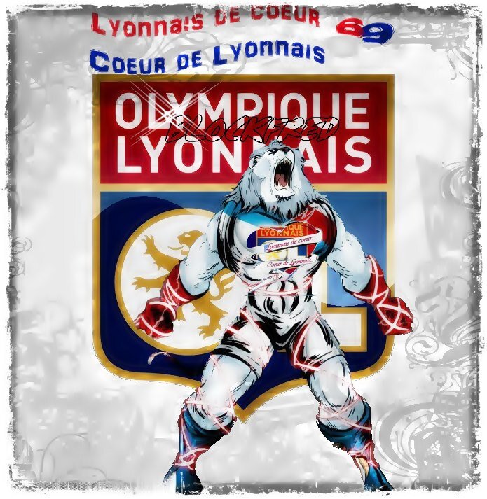 grand fan de l'olympique lyonnais depuis 2001