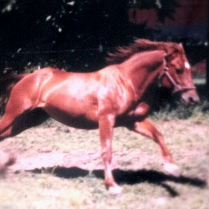 f96c652ab47d45b's profile picture. 