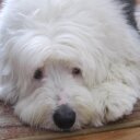 Barbara Carmichael Banks-Hase - @MyGrammyB - Twitter