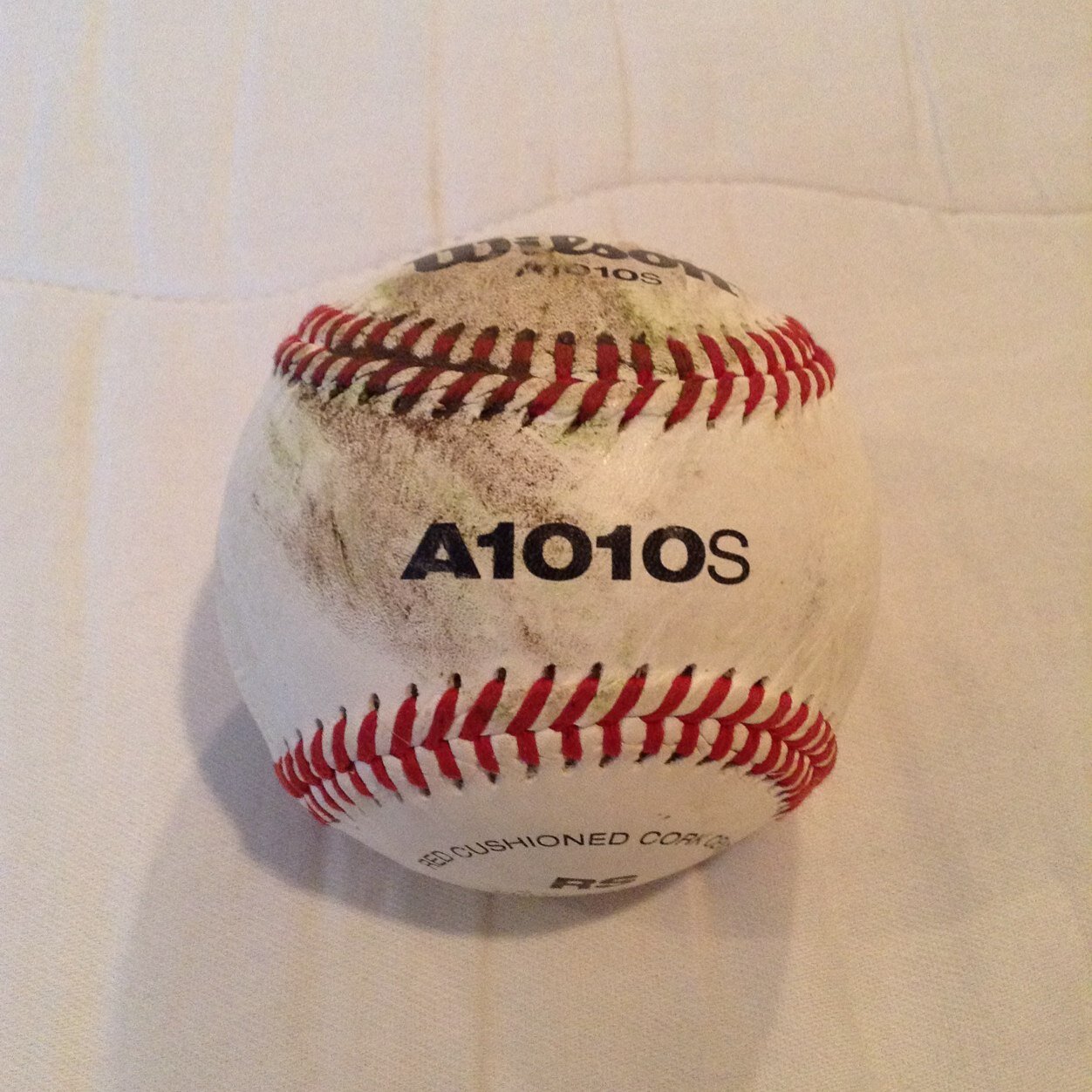 TylerFaZe5's profile picture. 