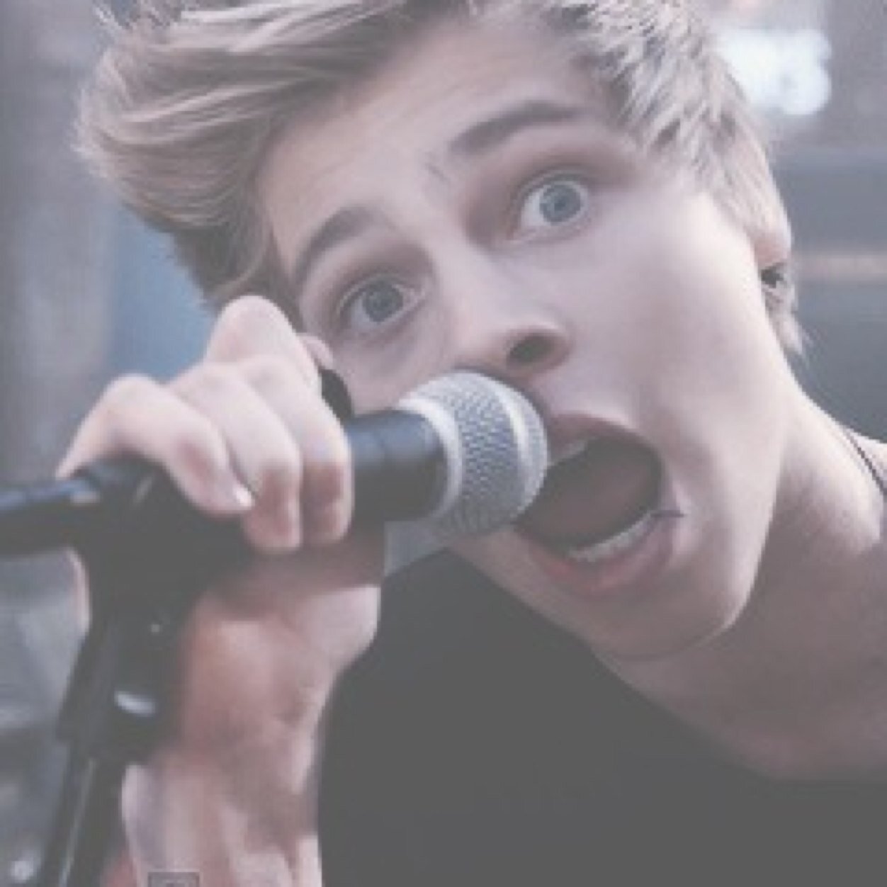 FREE FOLLOW FROM @flxwerchild1998 please follow me there! I follow back