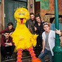 sophia rose patton - @sophiapatton123 - Twitter