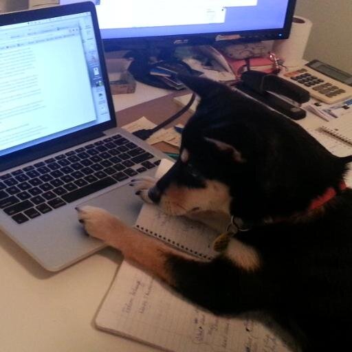 All about the adventures of Mika, the Shiba Inu.
Follow my adventures on Shiba In The City!