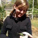 Heidi Ware - @HiD_TheBirdNerd - Twitter