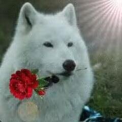 Free spirit, animal lover, tree hugger, name it I'll love it