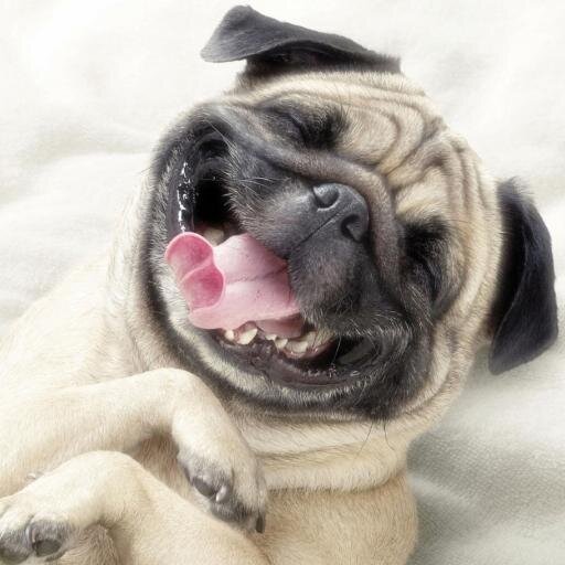 MadMatzuki's profile picture. 