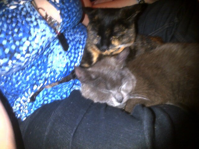 devils_child_97's profile picture. 