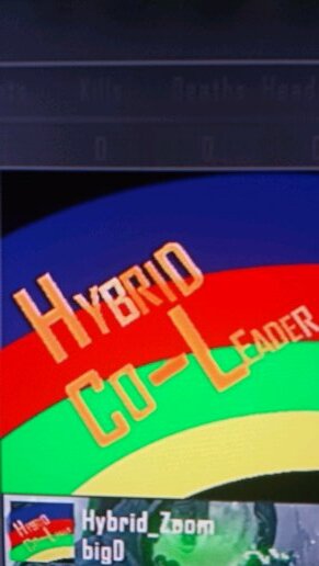 ZoomGotGame's profile picture. Leader of Hybrid Clan