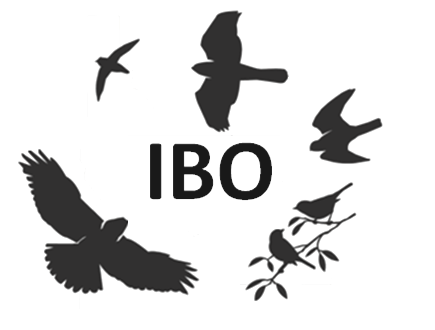 Contributing to bird #conservation through #research, #education, and community engagement at #BoiseState ibo@boisestate.edu they/them