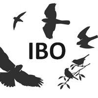 Intermountain Bird Observatory (@iboatboisestate) 's Twitter Profile Photo Intermountain Bird Observatory (@iboatboisestate) 's Twitter Profile Photo
