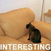 Jinfu (@wtfbbqcat) 's Twitter Profile