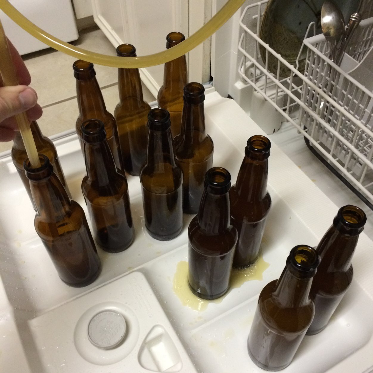 MississippiBeer's profile picture. 