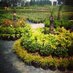 Budget Nursery (@budgetnursery) Twitter profile photo