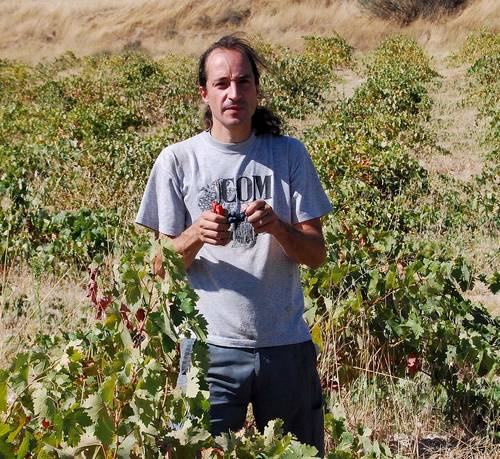 Making quality organic natural terroir-expressing wines from organically cultivated vineyards in Sierra de Gredos, Spain