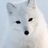 Opreker's profile image