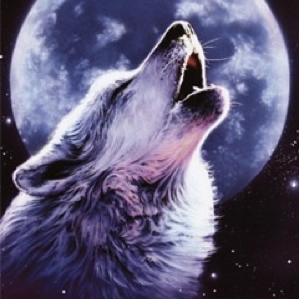wolf girl boothedog1fan twitter