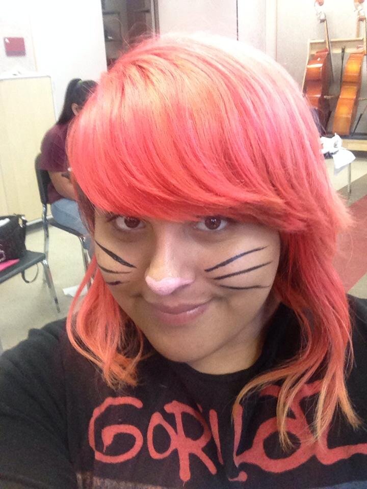 17 | HIGHLAND OWL | Violin player | Anime lover | leo | wannabe neko -w- | \m/ rocker |starving artist | unintentional jokester
