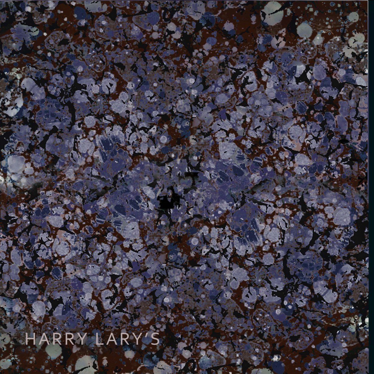 HarryLarys's profile picture. Incredible Eyewear Collection || Optical Only || Handmade in France || Beautifully Designed by Thierry Lasry.