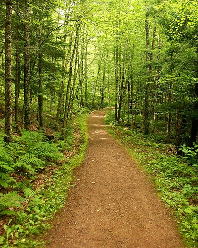 thepathpetaluma's profile picture. A faith community committed to training, discipleship and growth in relationship and Godly character