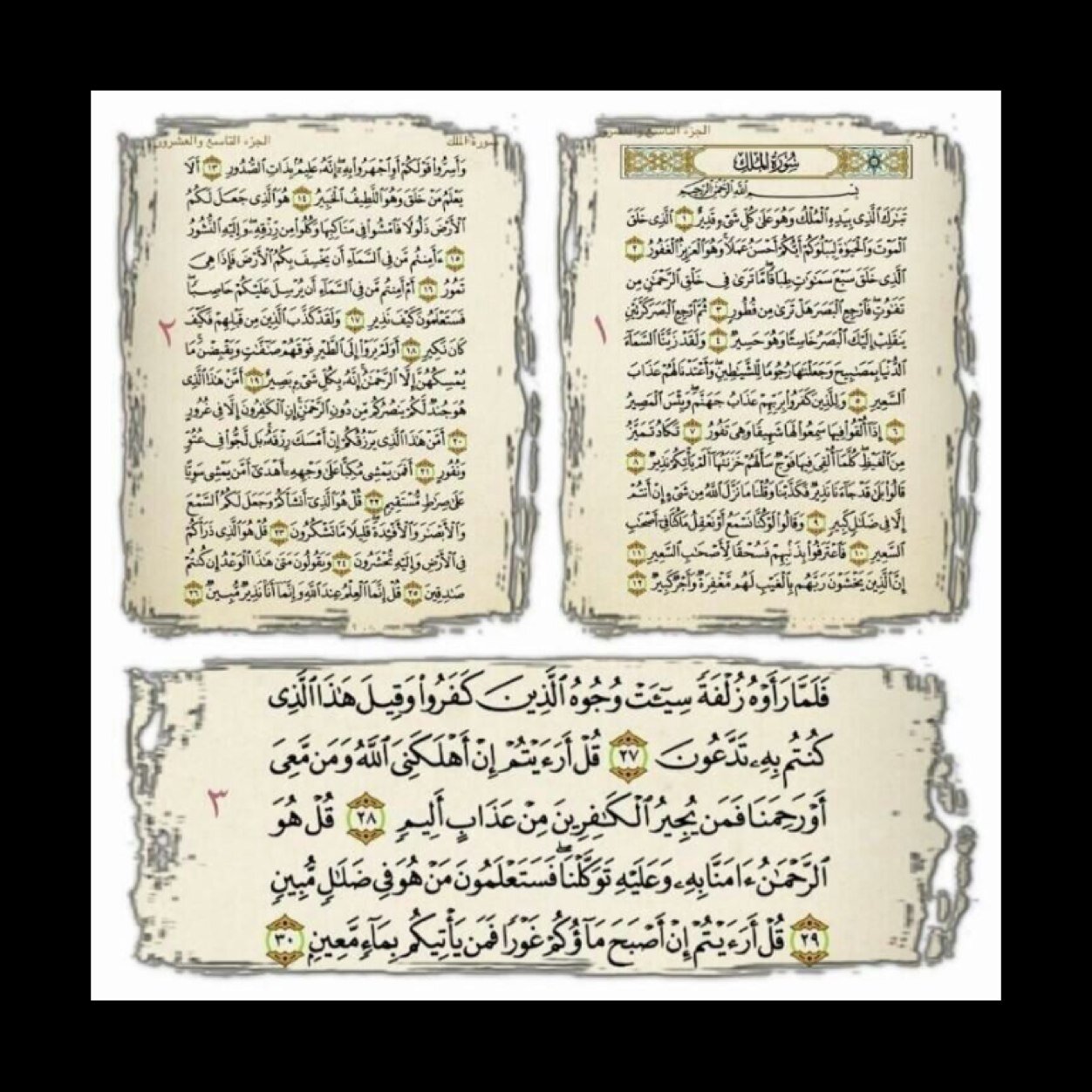 اللهم أرحم أمي عواطف وأغفر لها وأجعل قبرها روضه من رياض الجنه